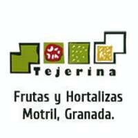 Frutas tejerina