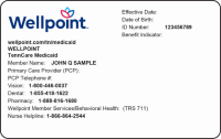 Amerigroup tennessee, inc.