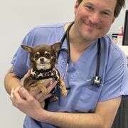 Alamitos animal hospital inc