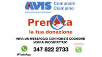 Avis comunale ciampino