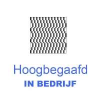Hoogbegaafd in bedrijf