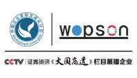 Wopson international (hongkong) co. ltd