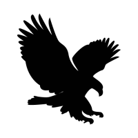 Eagle metals llc