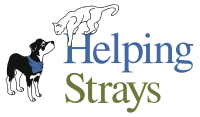 Helping strays, the humane society of monroe county