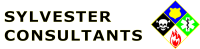 Sylvester consulting, llc