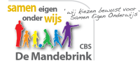 Cbs de mandebrink
