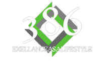 386 consulting llc