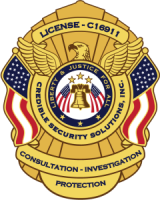 Credible security solutions, inc.