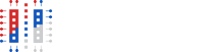 Association for promoting inclusion serbia-sapi