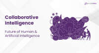 Collaborative intelligence private limited