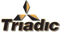 Triadic group
