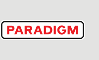 The paradigm group