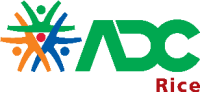 Allied development corp.