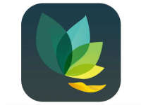 The oak app