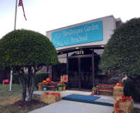 Octopus garden preschool