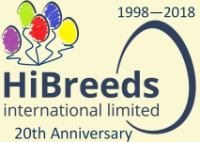 Hibreeds international ltd