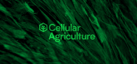 Cellular Agriculture Ltd
