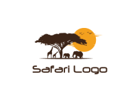 Safari services