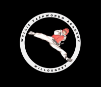 Wyllie taekwondo