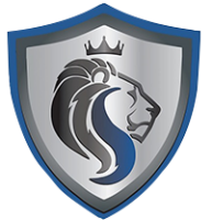 Silverquest consulting