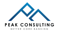 Peak management and consulting