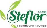 Steflor garden