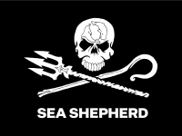 Sea shepherd netherlands