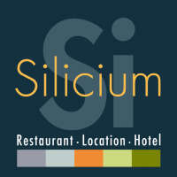 Hotel silicium