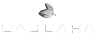 Cascara consulting engineers limited