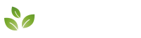 Palmers chartered accountants