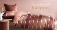 Adam kaeppel gmbh & co.