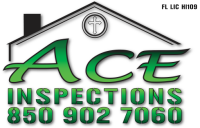 Ace inspection usa, llc