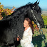 BlackSterlingFriesians