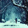 amit.thakur081995