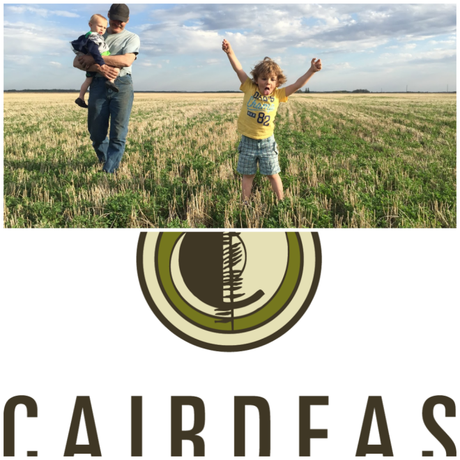 Review Cairdeas Winery image 3578