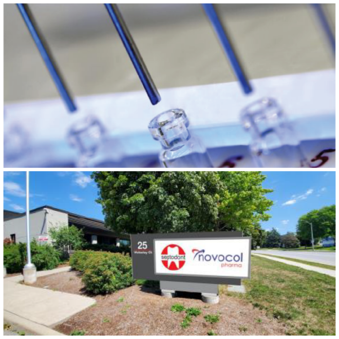 Review Novocol Pharmaceutical of Canada, Inc. image 37130