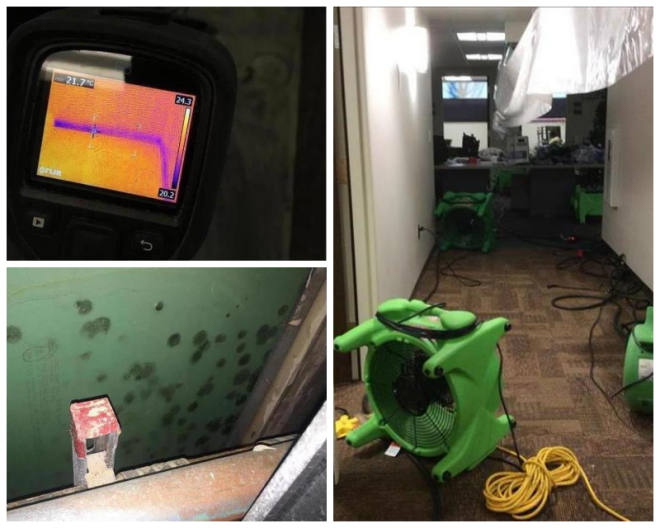 Review Servpro of cumberland, morgan & white counties image 352573