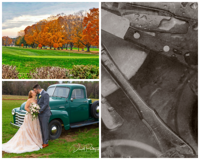 Review Driscoll photography image 276418