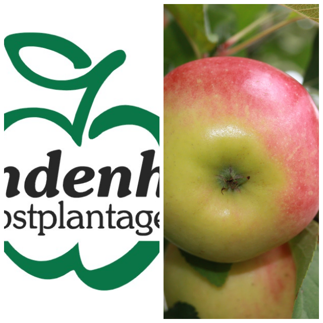 Review Lindenhof Obstplantagen image 109838