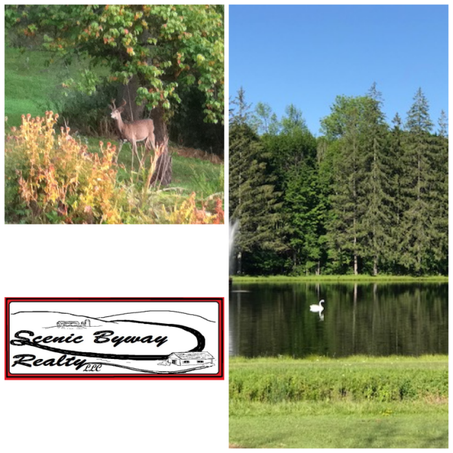 Review Scenic byway realty, llc image 350738