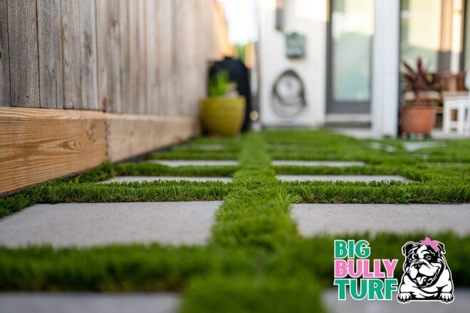 Review Big Bully Turf image 357085