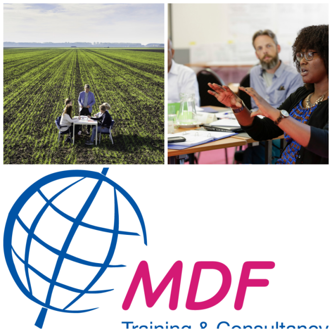 Review Mdf training & consultancy image 319263