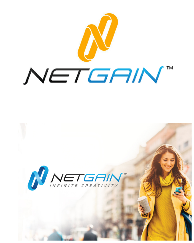 Review NetGain SEO image 56391