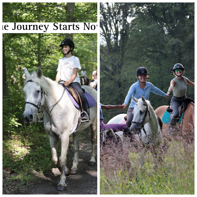 Review Seaton Hackney Stables image 45916