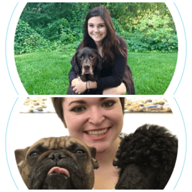 Review Red butte veterinary care image 343887