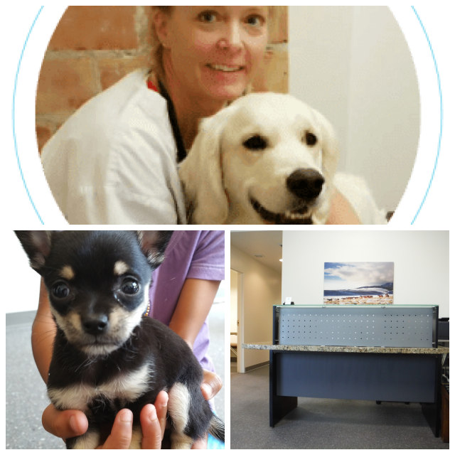 Review Red butte veterinary care image 343888