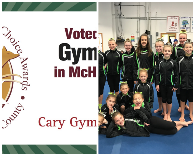 Review Cary Gymnastics image 228658