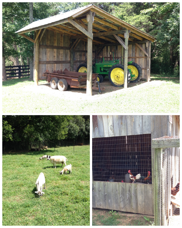Review Deepwell Farms Inc image 151484
