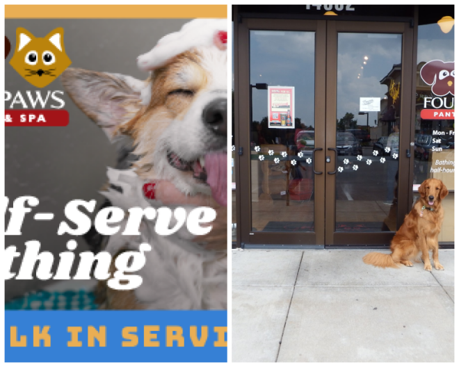 Review 4 Paws Pantry & Spa image 231914