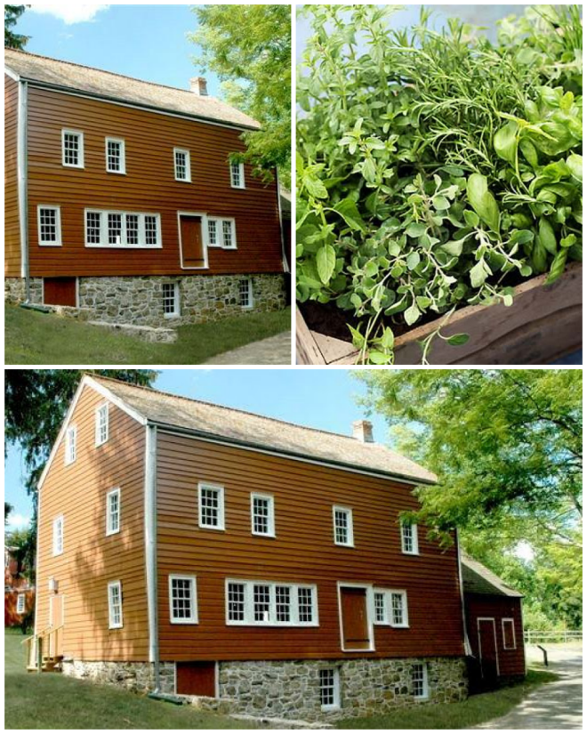 Review Fosterfields Living Historical Farm image 10318